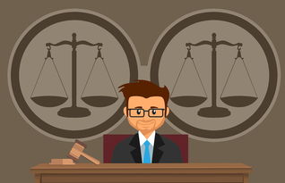 法律热点事件的多维思考，权利、责任与社会正义