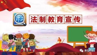 法律进村居，推动农村法治建设的实践与探索