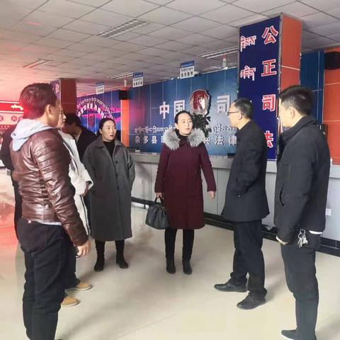 探索法律查询官网，获取法律信息的权威渠道