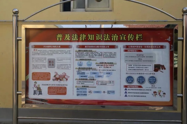 深化法律意识，乡村法律宣传内容概览