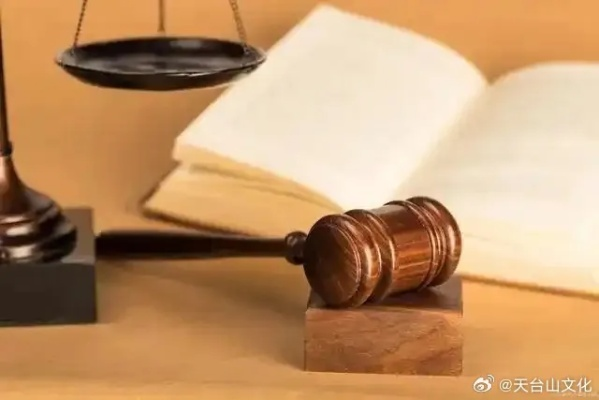 法律热点问题思考与建议，平衡法律与社会需求
