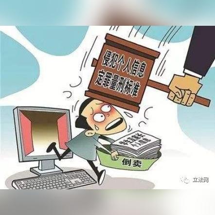 法律热点问题的多维思考，挑战、机遇与未来趋势