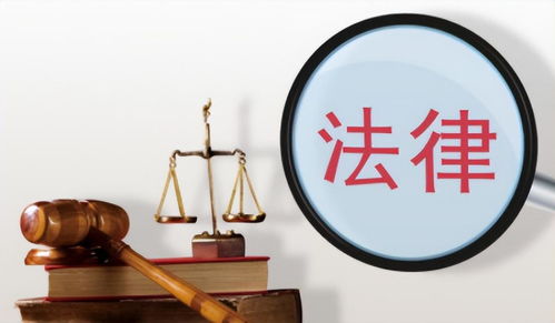 法制在线咨询，法律服务的新纪元