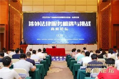 深入探讨当前热点法律问题，挑战与机遇