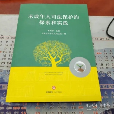 2019年未成年犯罪法律法规解析与实践